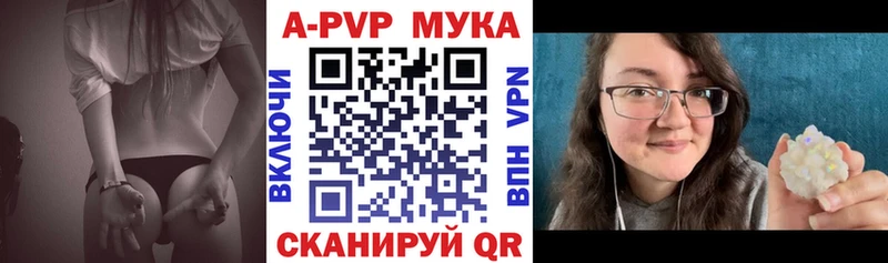 Альфа ПВП СК  Протвино 